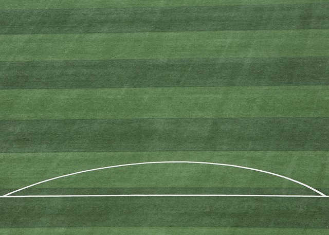 孤军奋战 孤军奋战