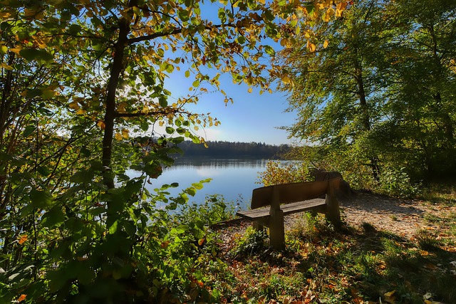 的经典名局 的经典名局