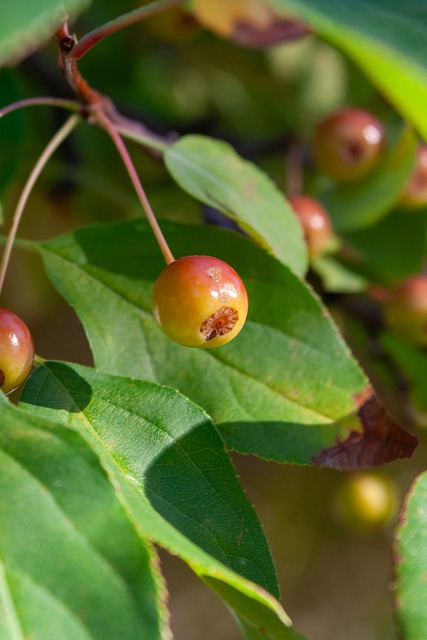 由于弯道较 由于弯道较