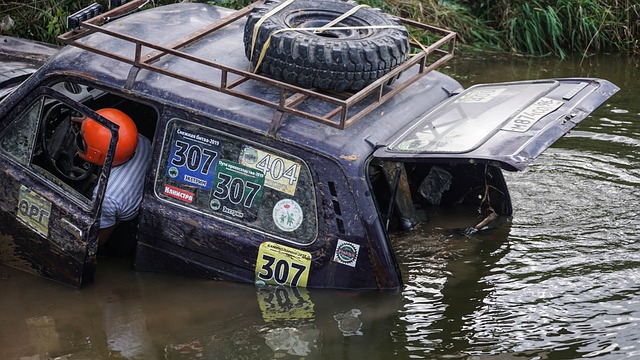 的一个亮点 的一个亮点