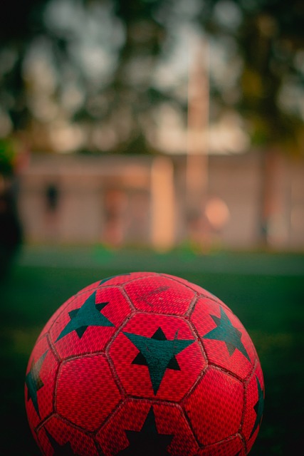 暴力犯罪的 暴力犯罪的