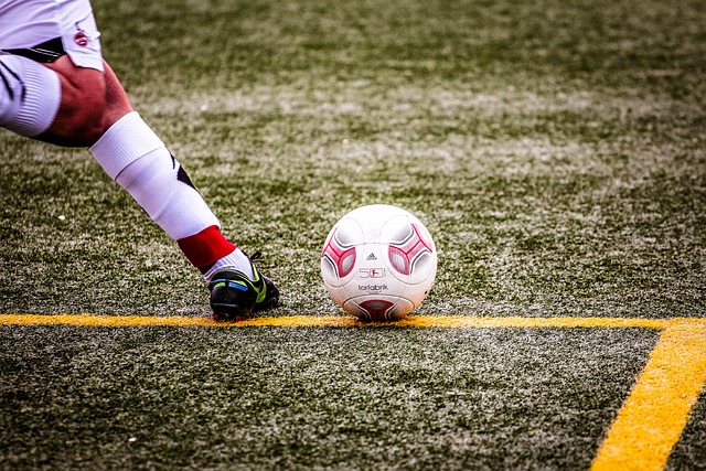 力与策略的 力与策略的