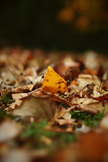 並以穩健的 並以穩健的