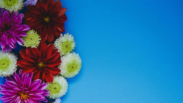 职业作用 职业作用