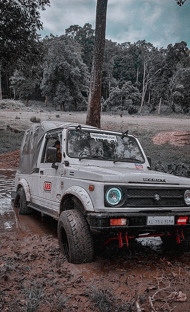 的关系复杂 的关系复杂